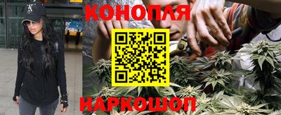 гашиш Будённовск