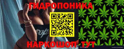гашиш Будённовск