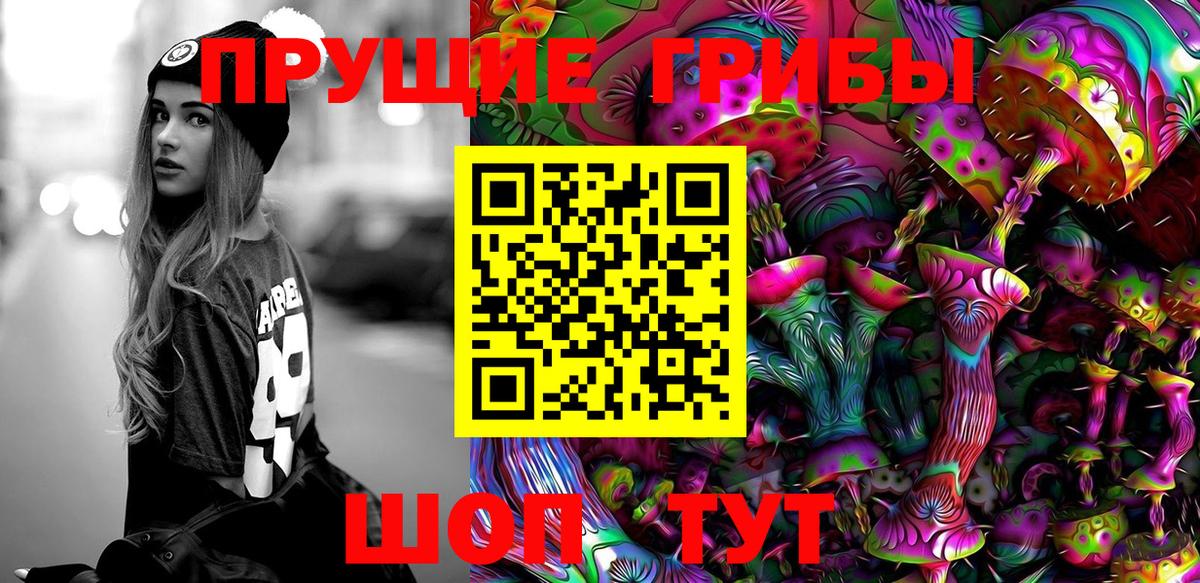 Волоколамск  Псилоцибиновые грибы GOLDEN TEACHER  Вход с VPN 
